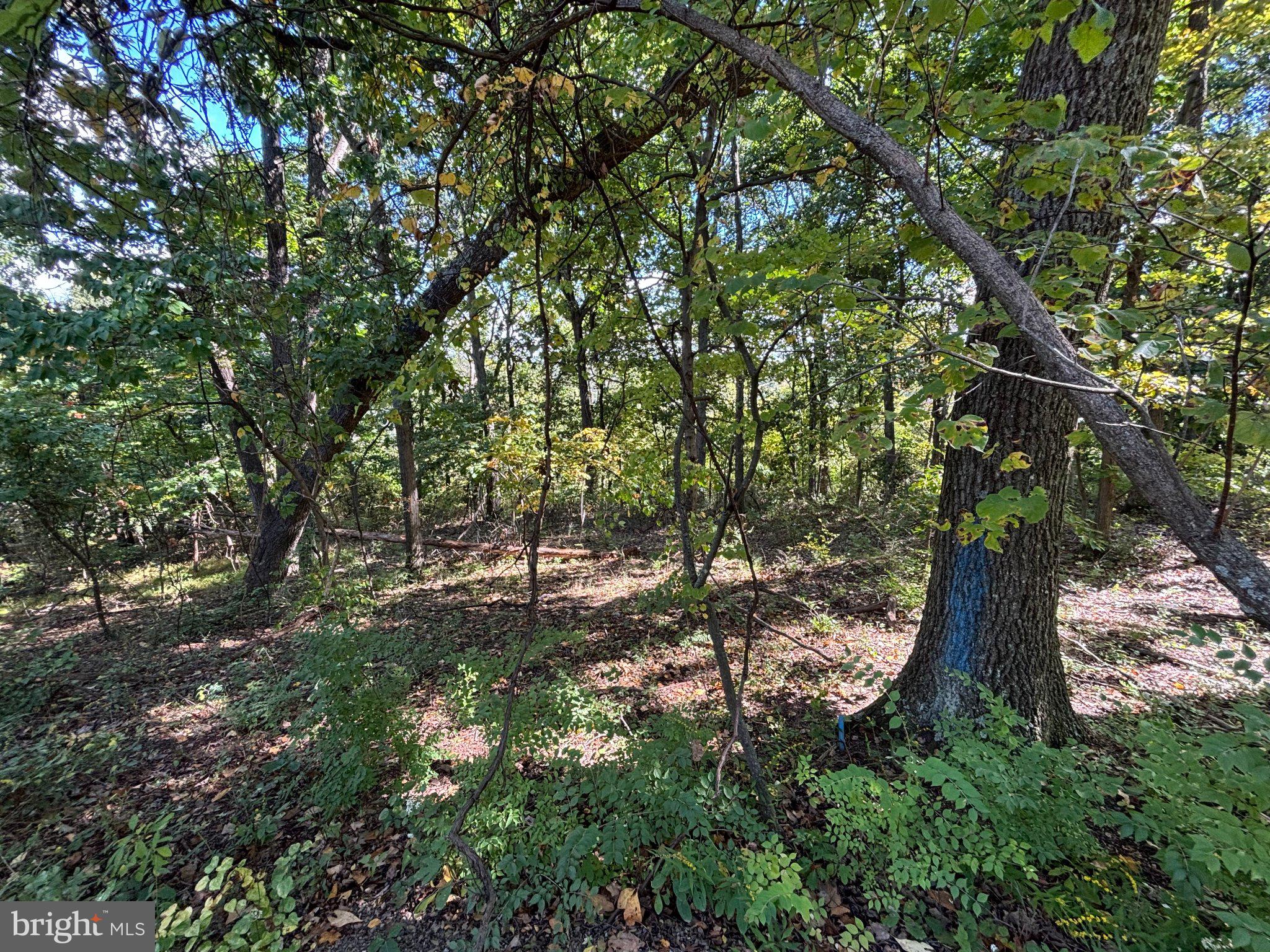 Lot 31 TRAPPER RIDGE LANE