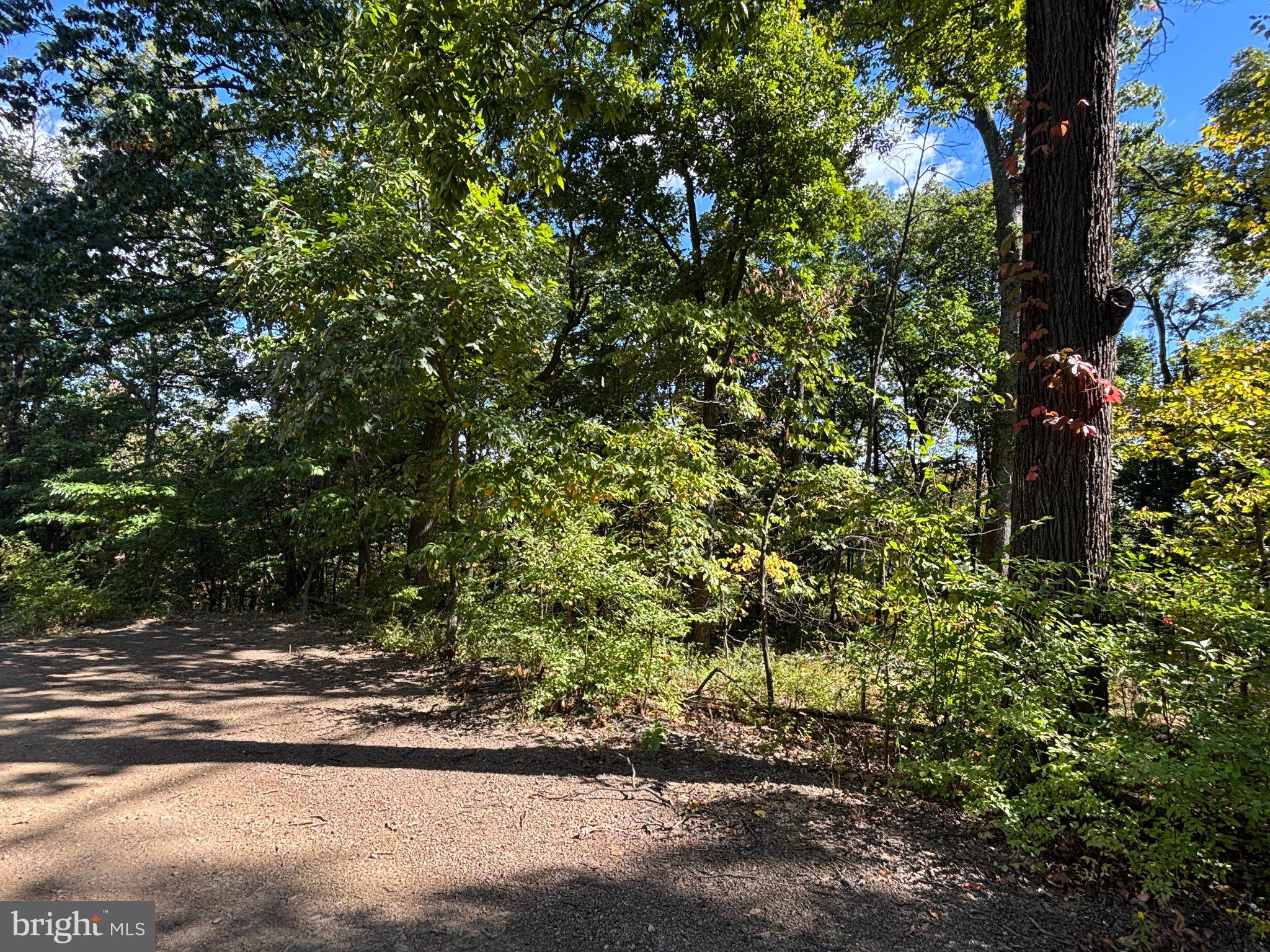 Lot 31 TRAPPER RIDGE LANE