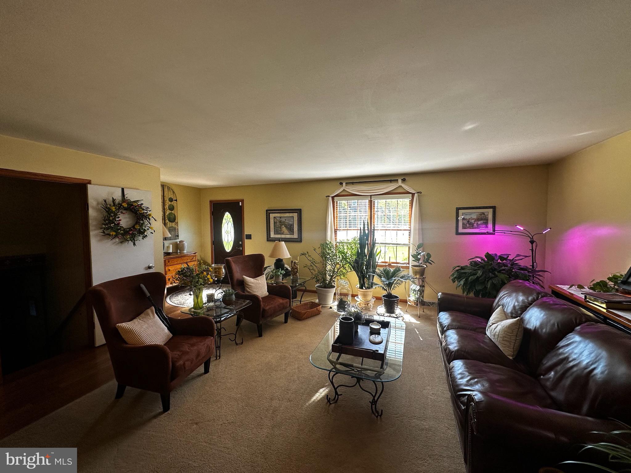 2117 BAINBRIDGE ROAD