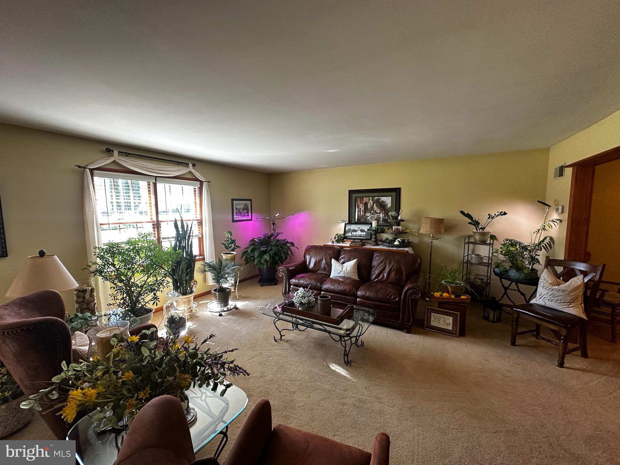 2117 BAINBRIDGE ROAD