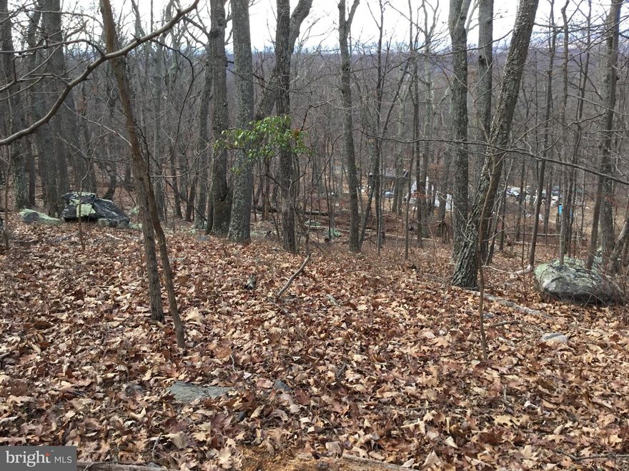 Beautiful wooded lot, over half an acre, located in the Shannondale Community.  Nearby amenities include Mountain Lake Club, (with 55 acre Lake Shannondale),  historic Harpers Ferry and Charlestown.  Outdoor activities abound (fishing, swimming, boating, hiking and more.) with the Shenandoah River also minutes away.  Buyer's responsibility to verify size and use of the property.