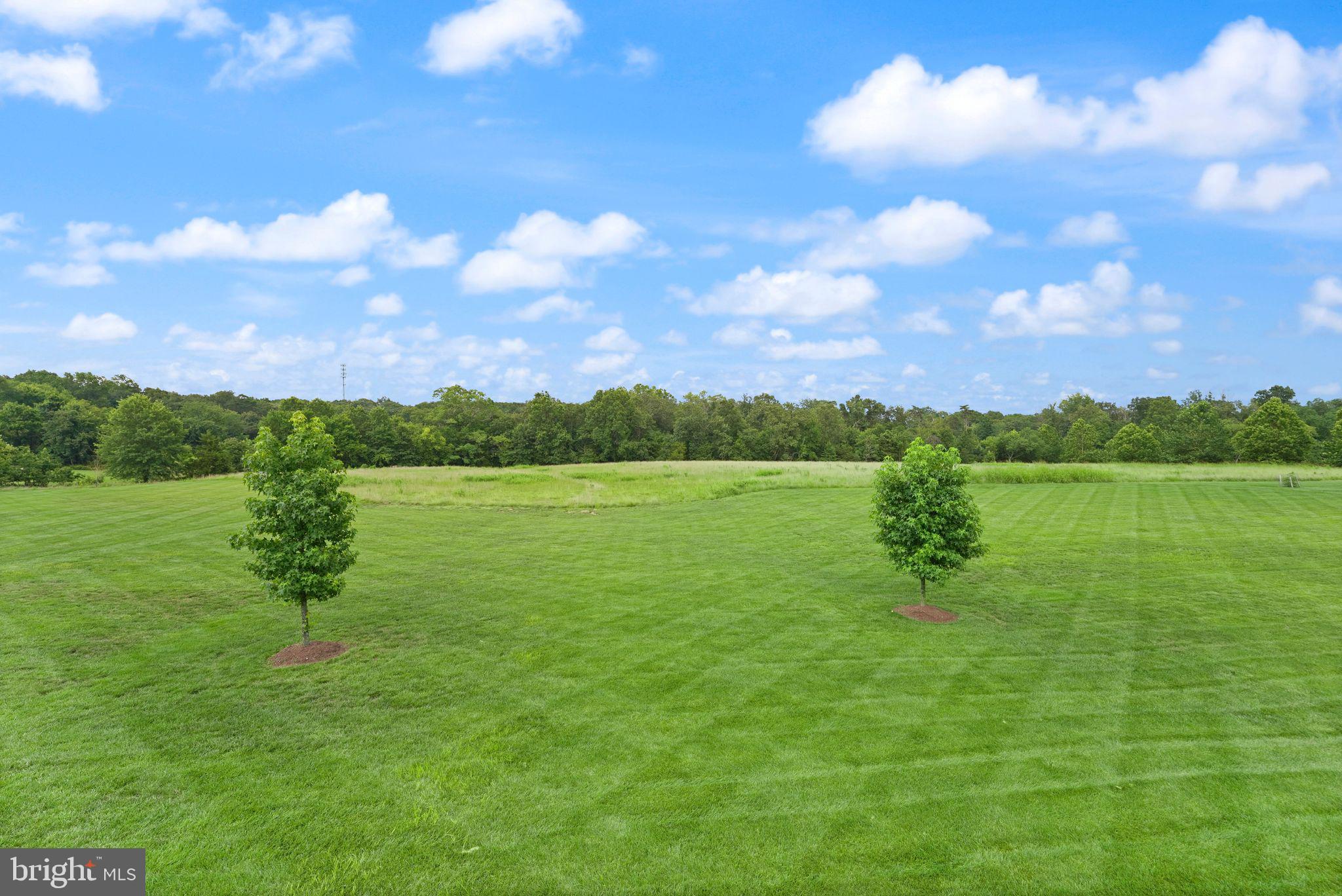 GRANT AT WILLOWSFORD - Residential