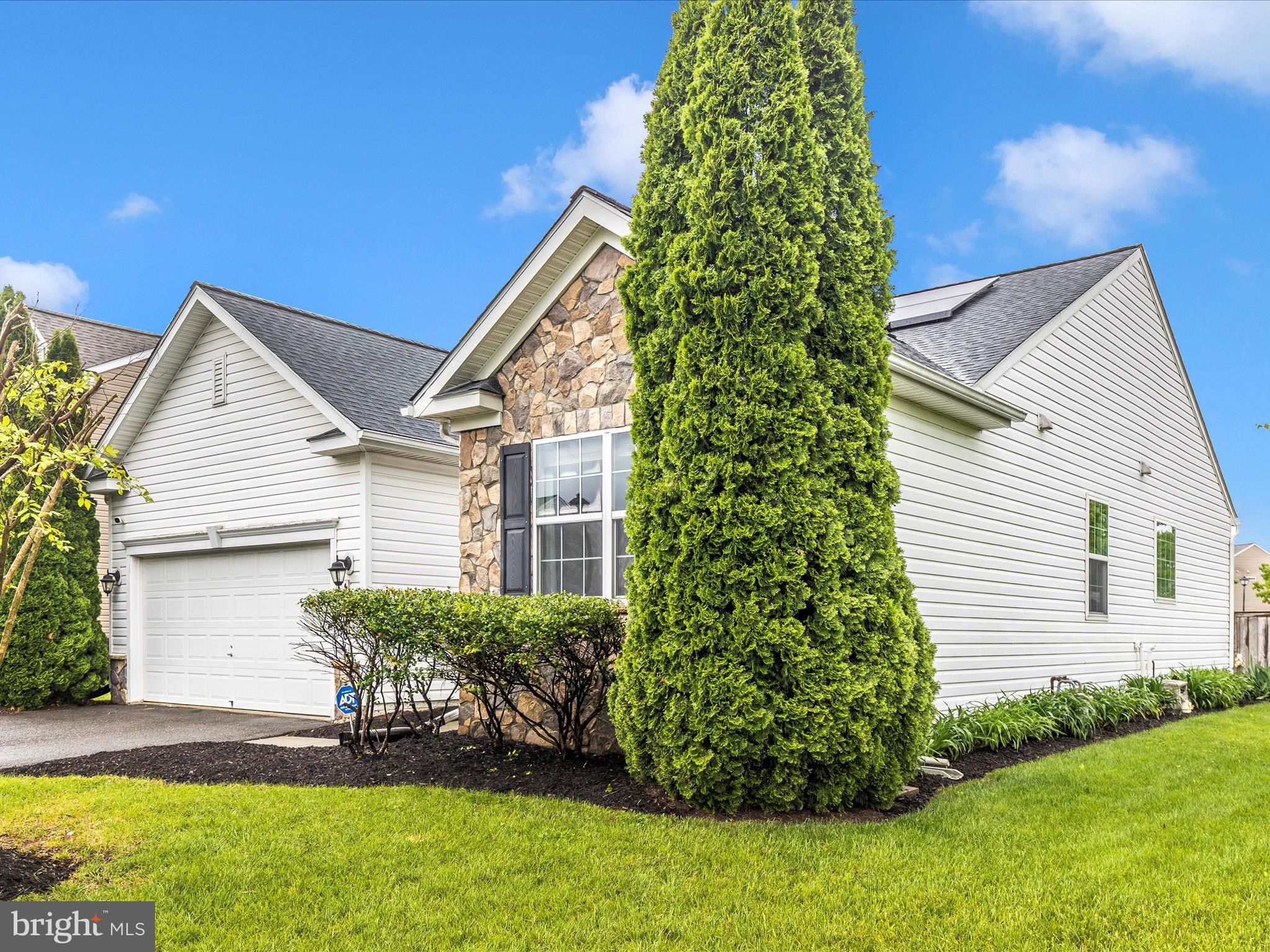 COLLEGIATE ACRES - Residential