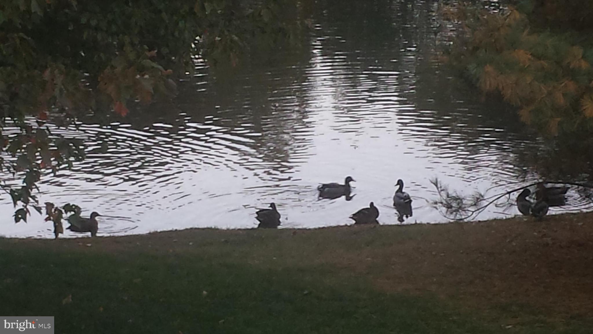 HIDDEN LAKE - Residential