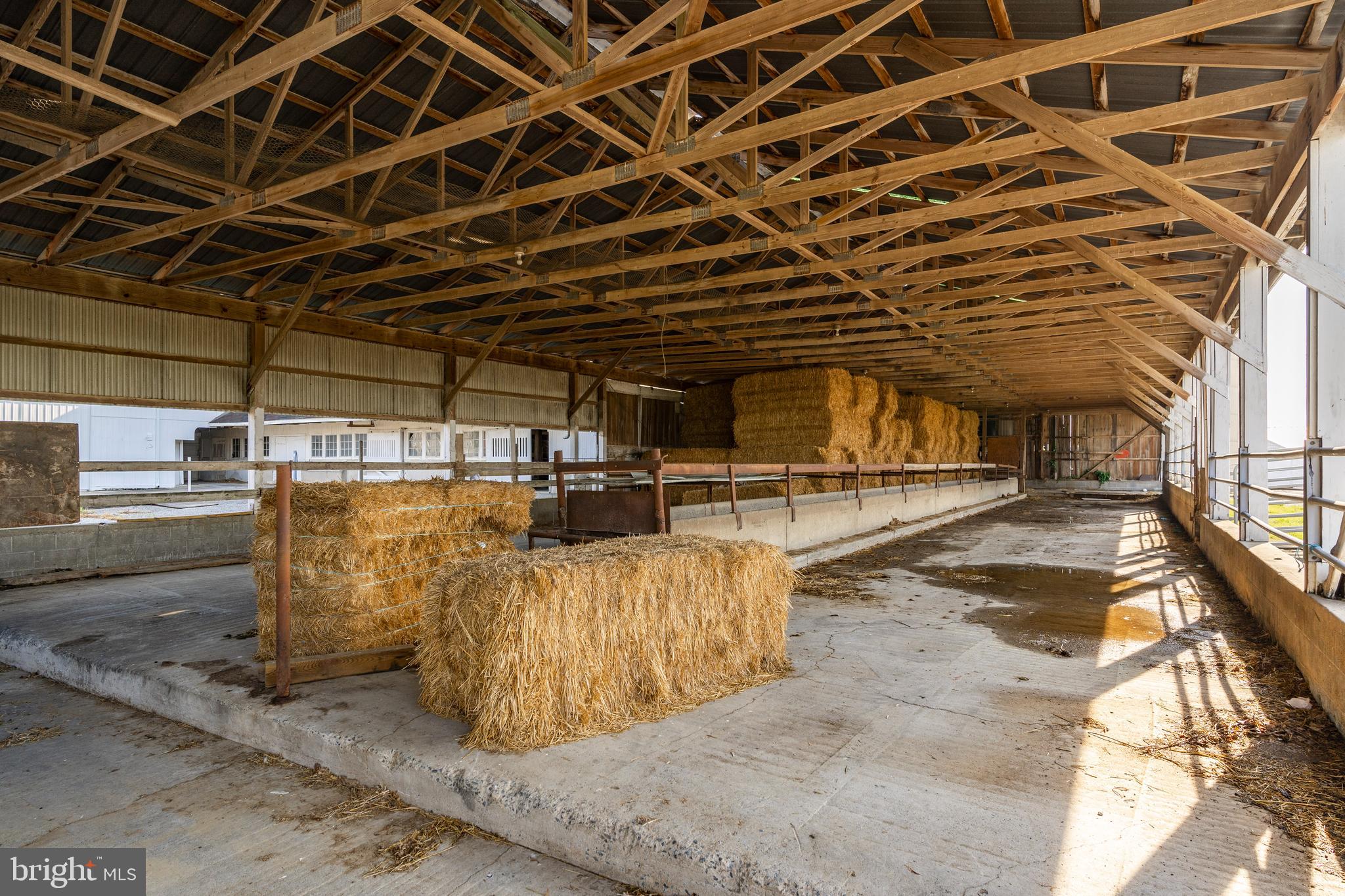 NONE AVAILABLE - Farm