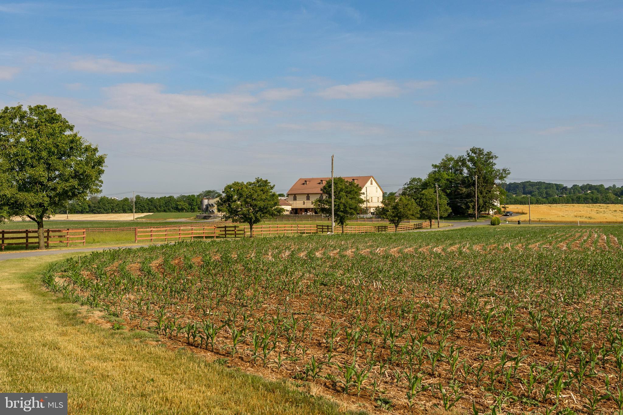 NONE AVAILABLE - Farm