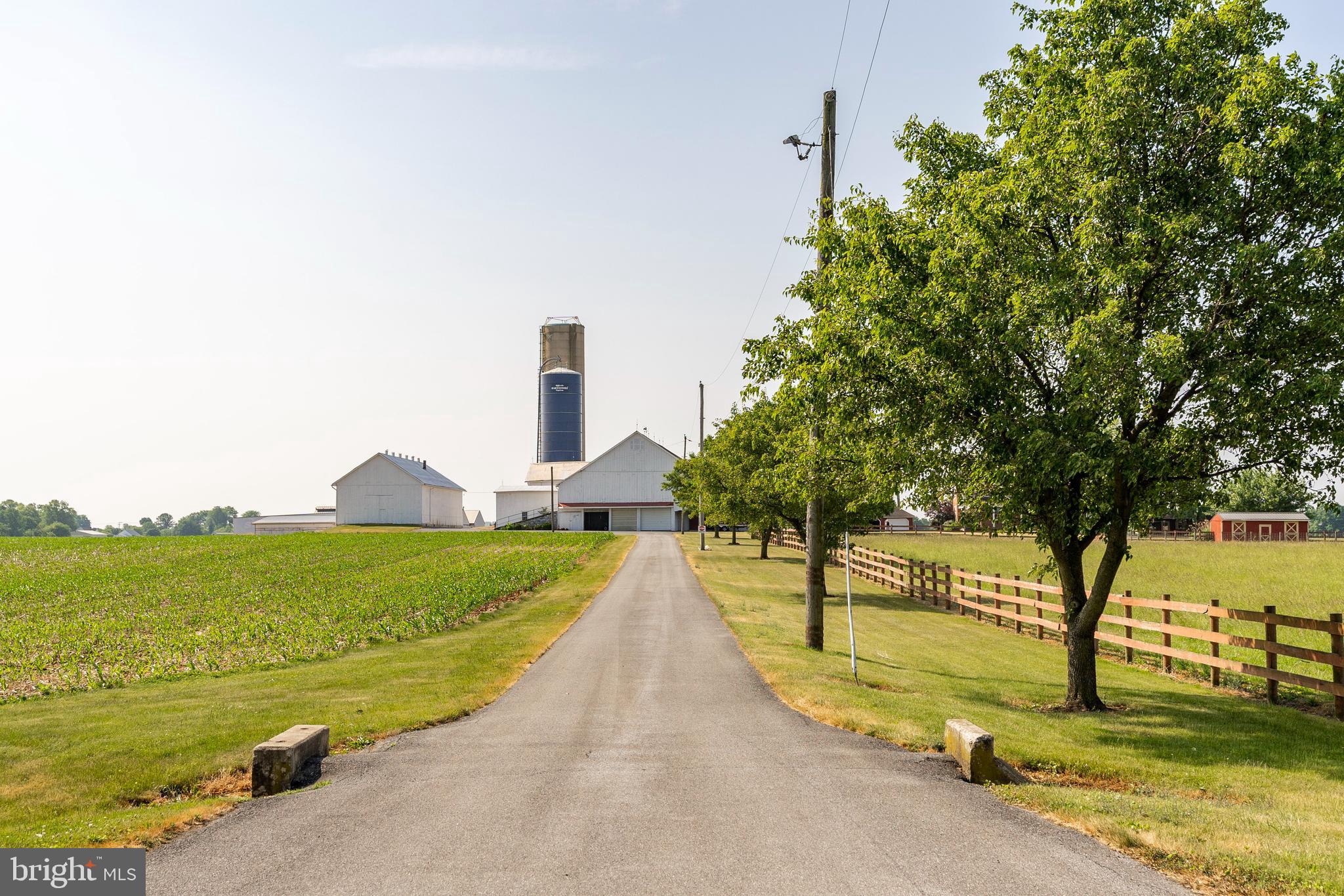 NONE AVAILABLE - Farm