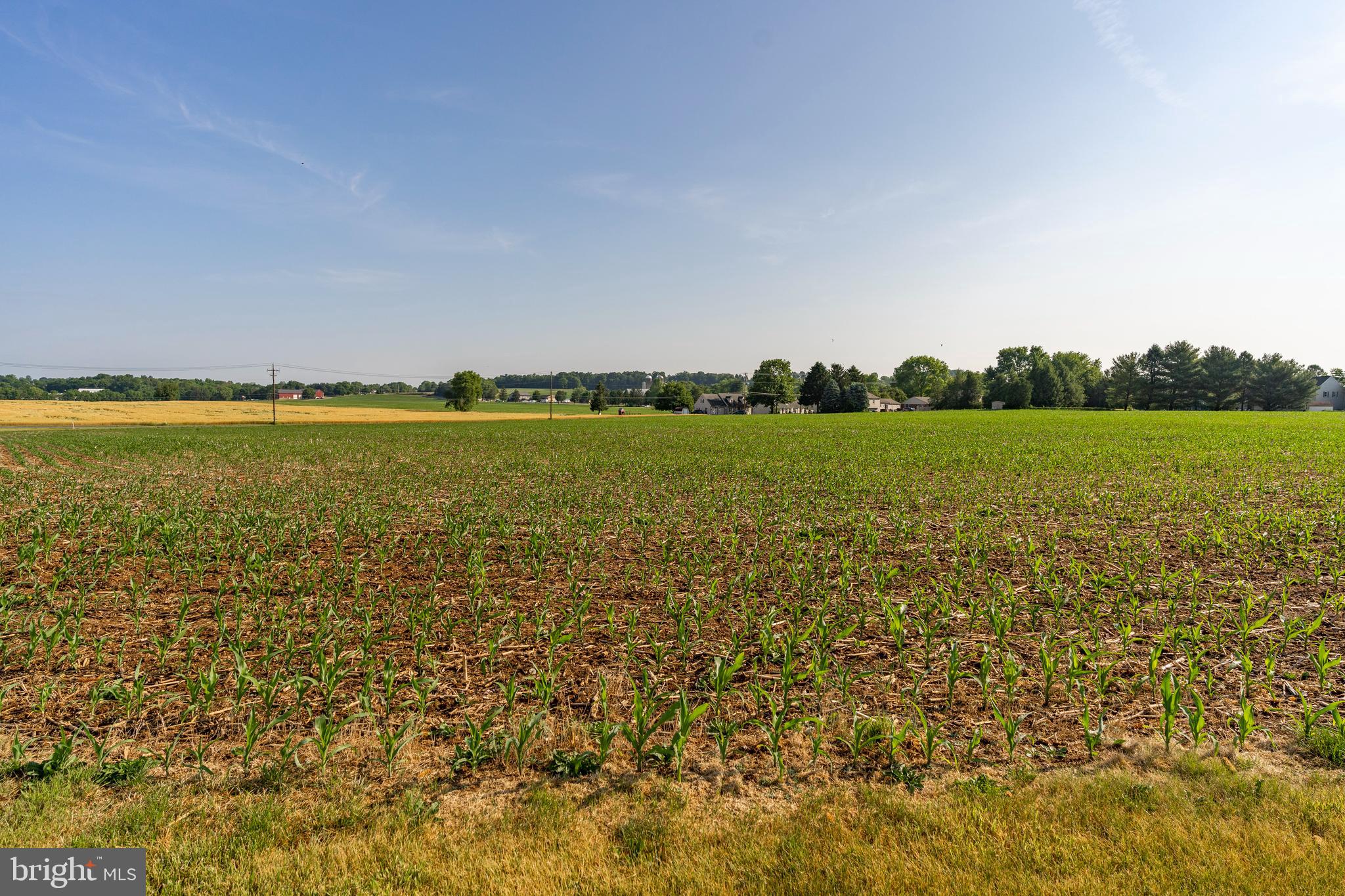 NONE AVAILABLE - Farm