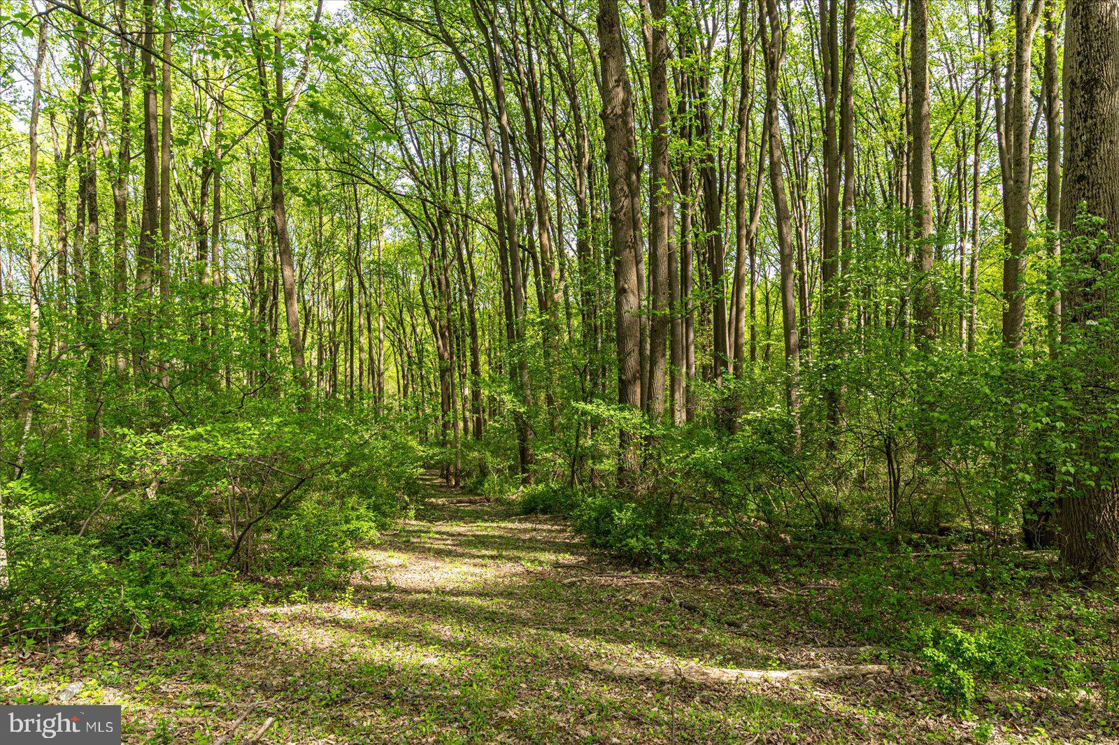 OAK HILL ESTATES - Residential