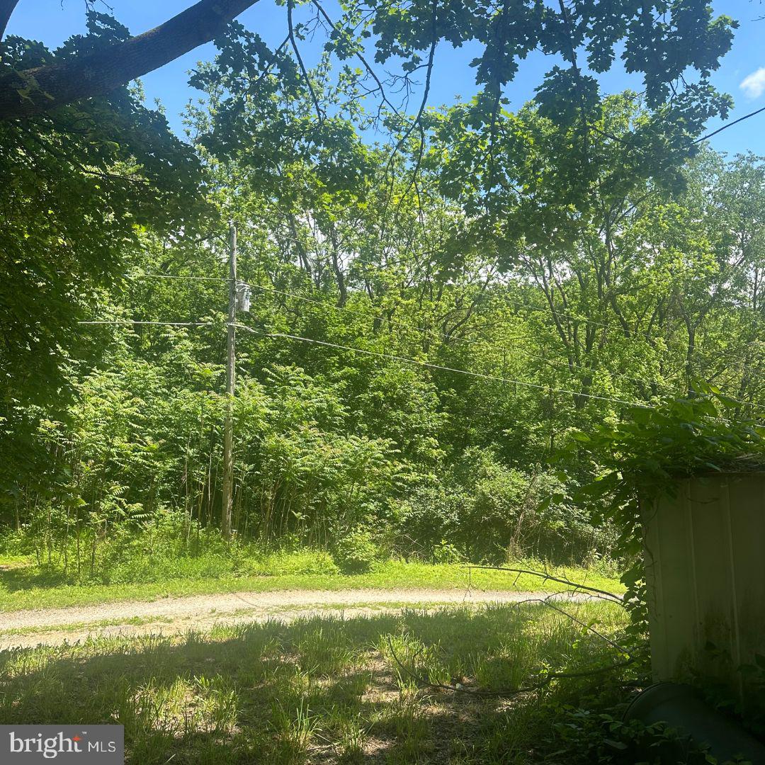 1175 BOLLINGER ROAD