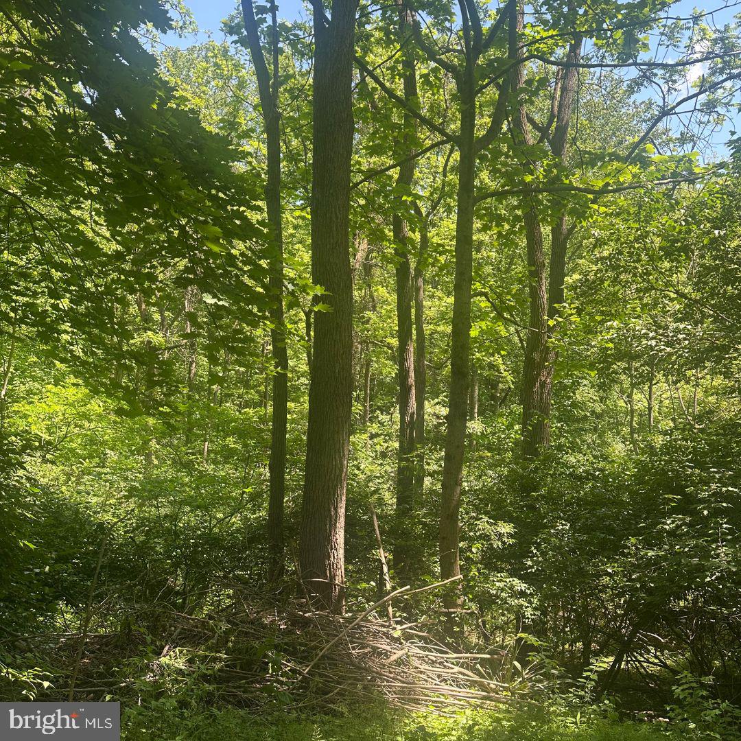 1175 BOLLINGER ROAD