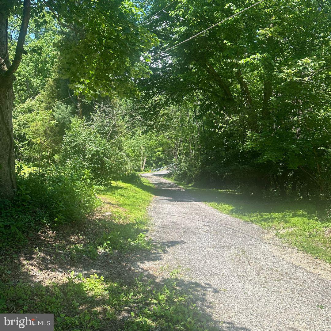 1175 BOLLINGER ROAD