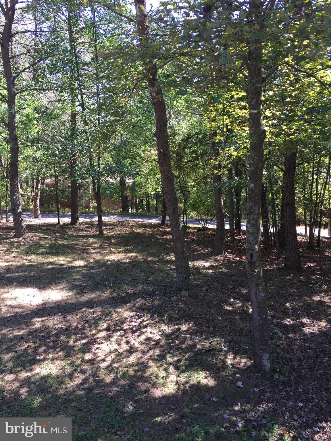 BRYCE  MOUNTAIN - Residential