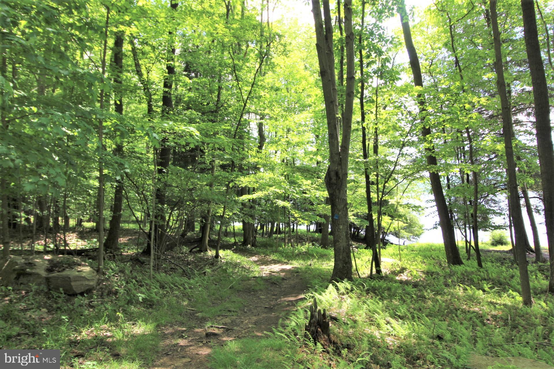 ALPINE LAKE RESORT - Residential