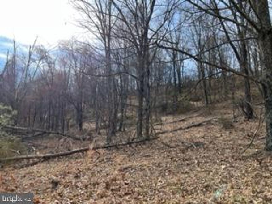 Great opportunity to own a big chunk of undeveloped land that is unrestricted for a total of 49.76 acres with the potential to develop.   The sky is the limit.  Come for a look and stay for an eternity, build your forever home and enjoy the beauty of West Virginia.  Priced to sell quickly.