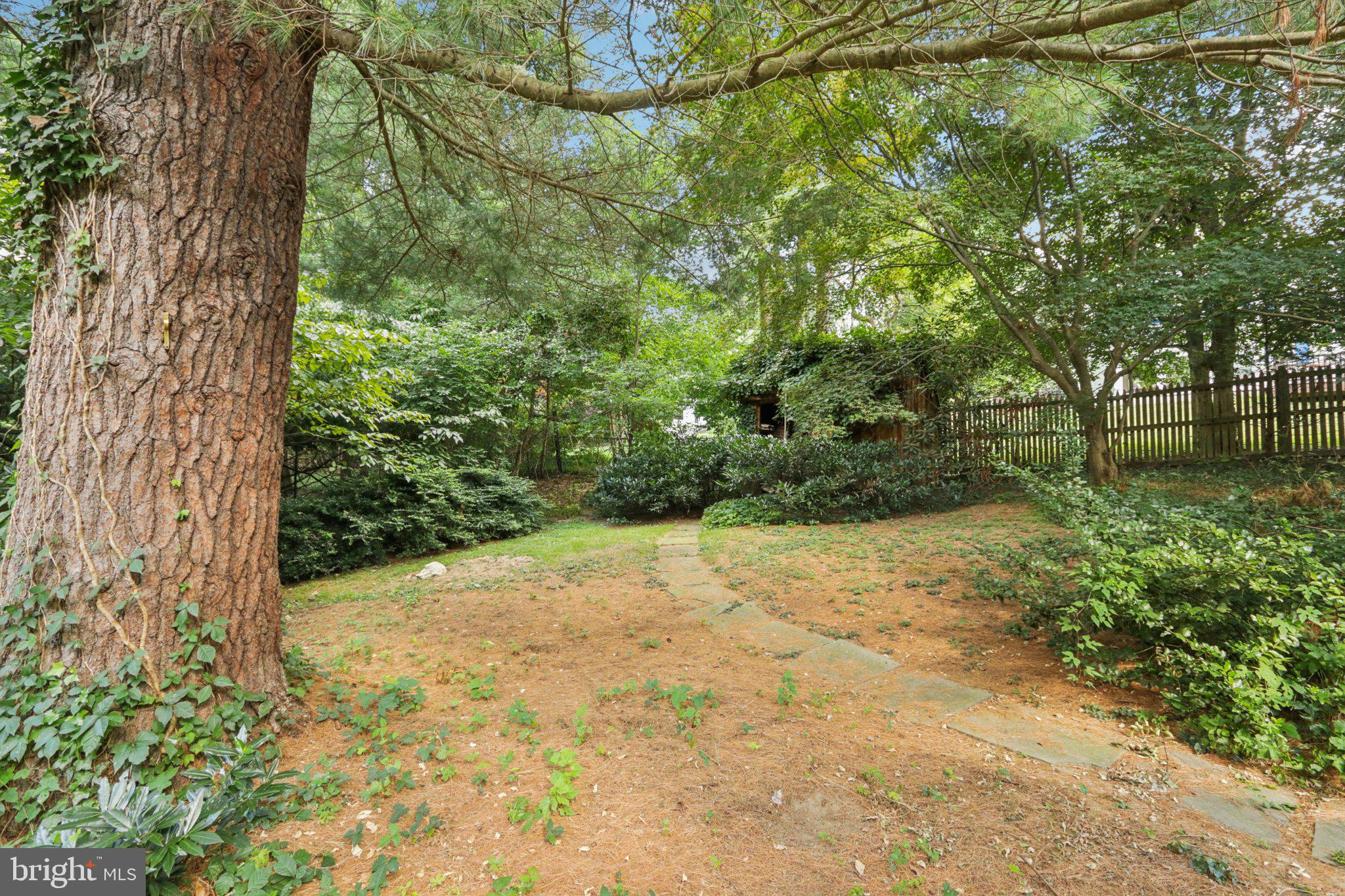 CHESTNUT HILL - Residential