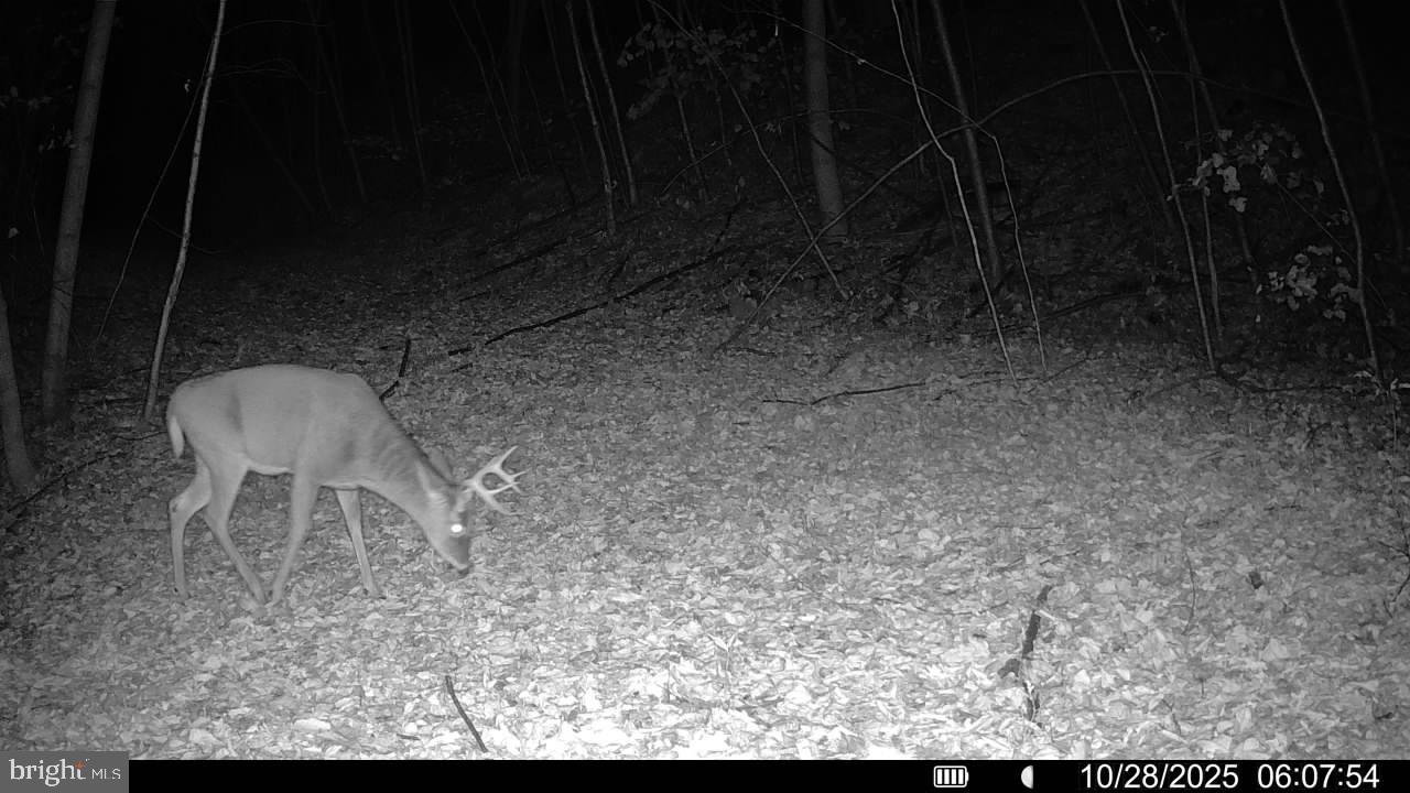 EVERETT - Residential