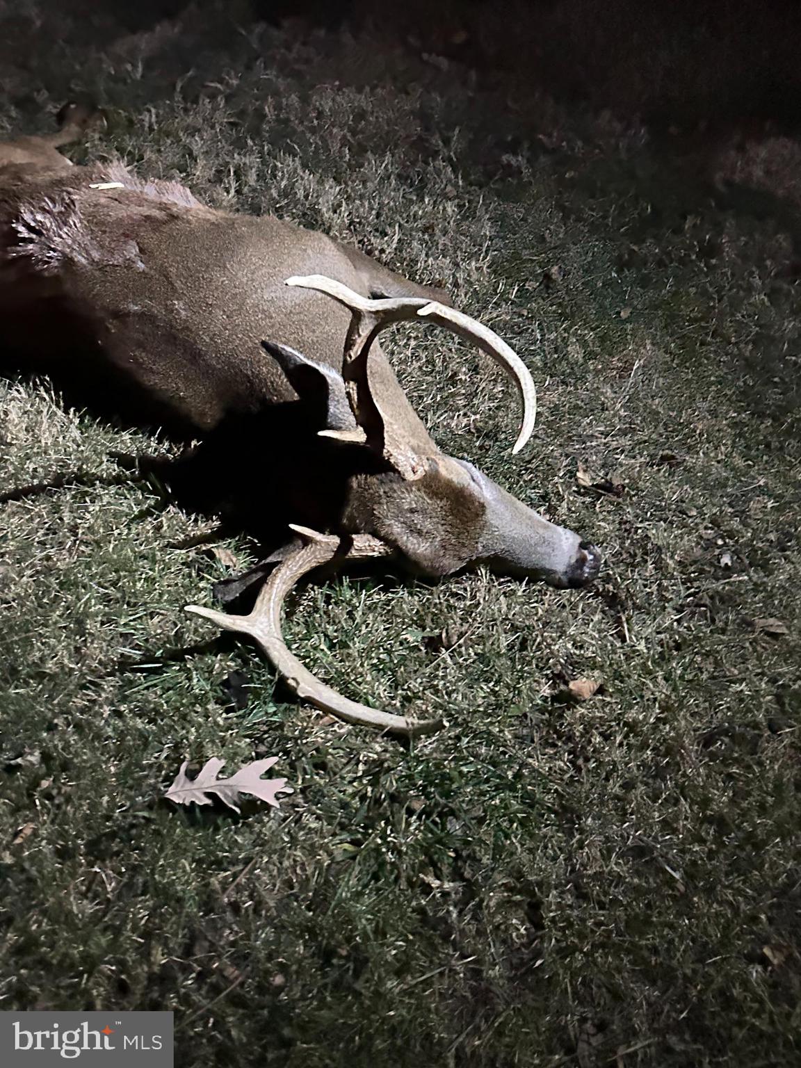 EVERETT - Residential