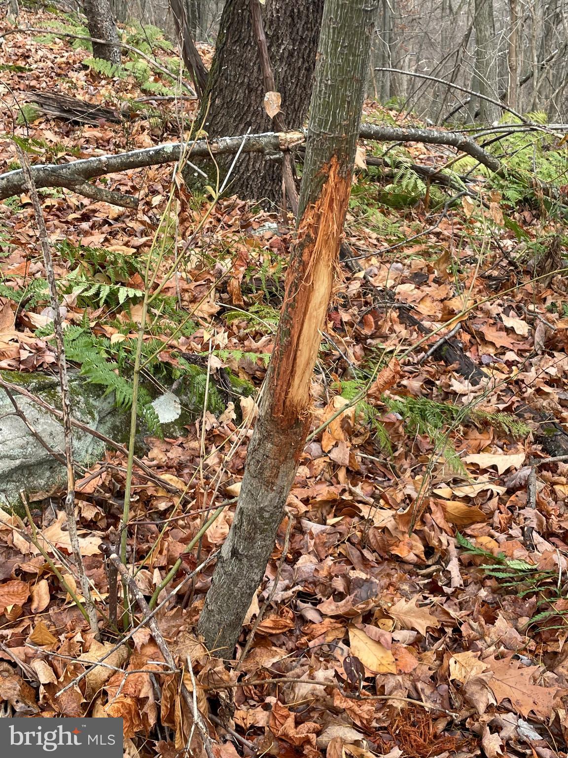 EVERETT - Residential