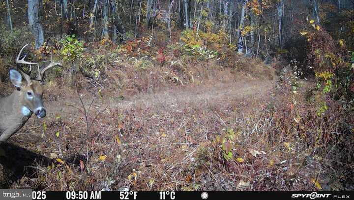 EVERETT - Residential