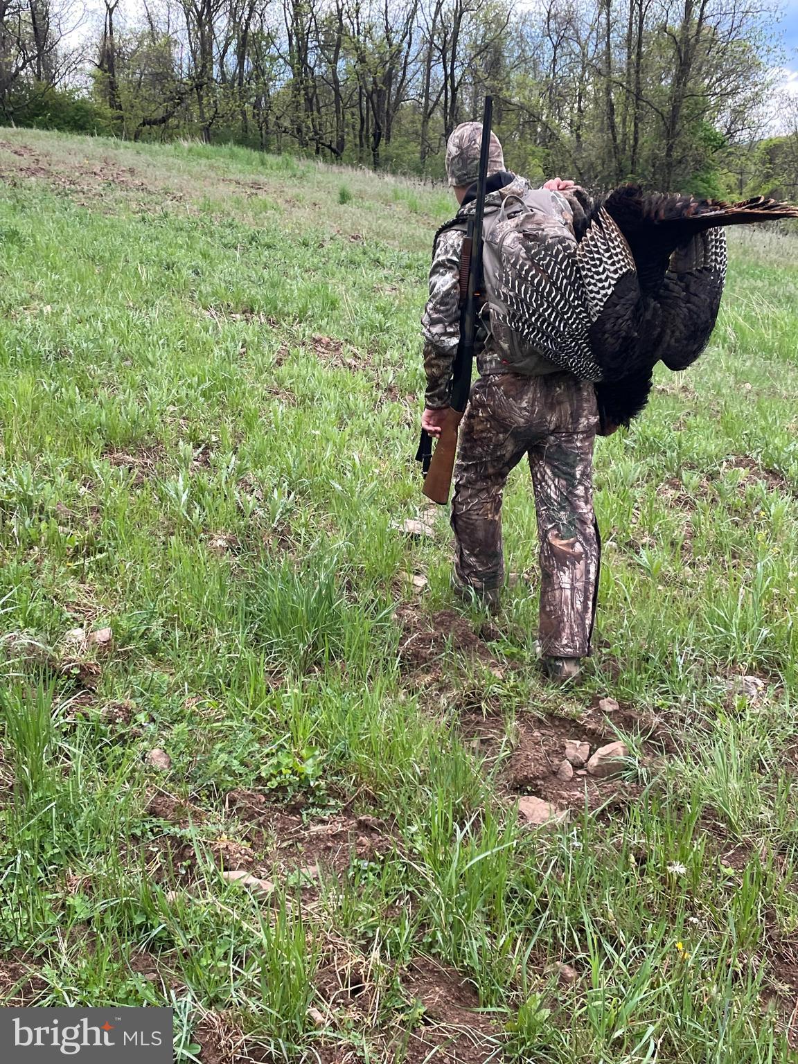 EVERETT - Residential