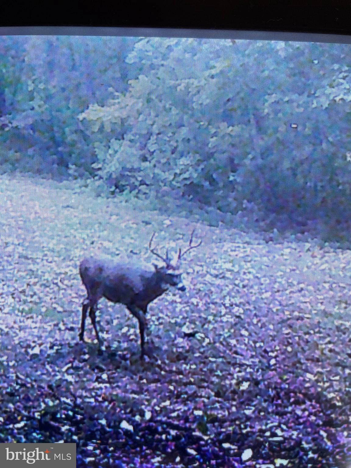 EVERETT - Residential