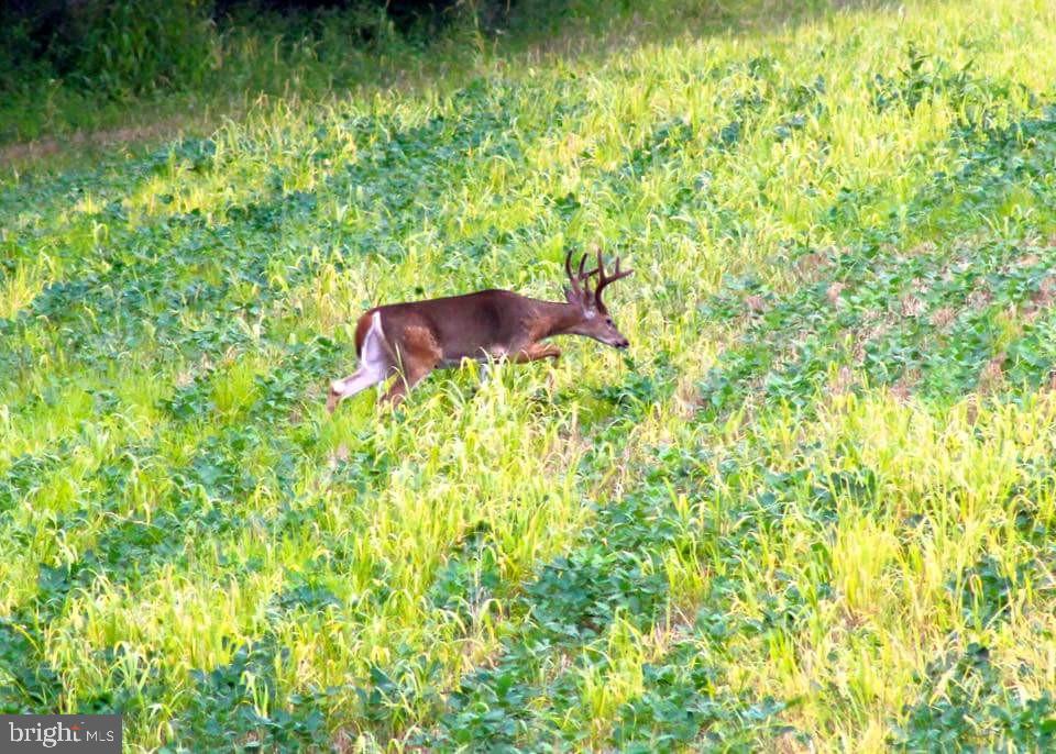 EVERETT - Residential