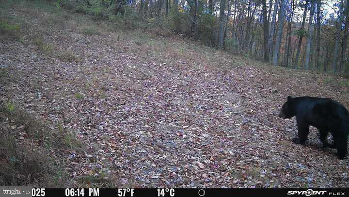 EVERETT - Residential