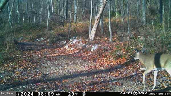 EVERETT - Residential