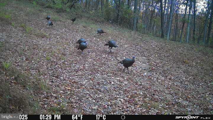 EVERETT - Residential