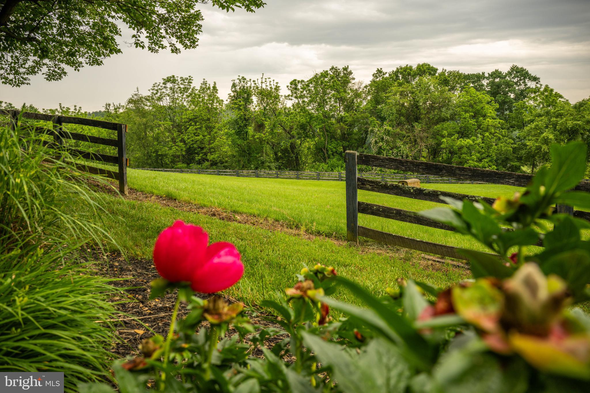 NOTTINGHAMSHIRE FARMS - Farm