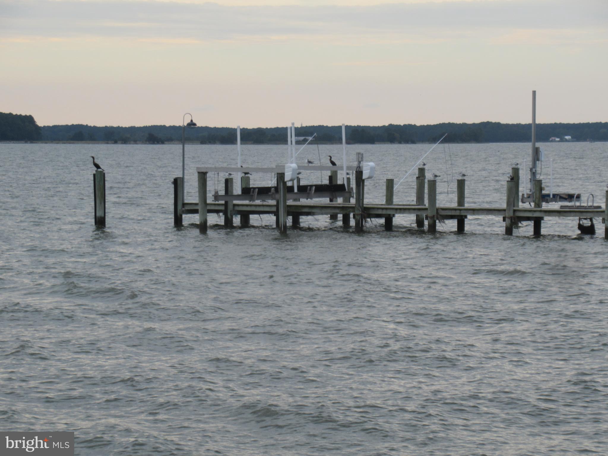 ROYAL OAK - Residential