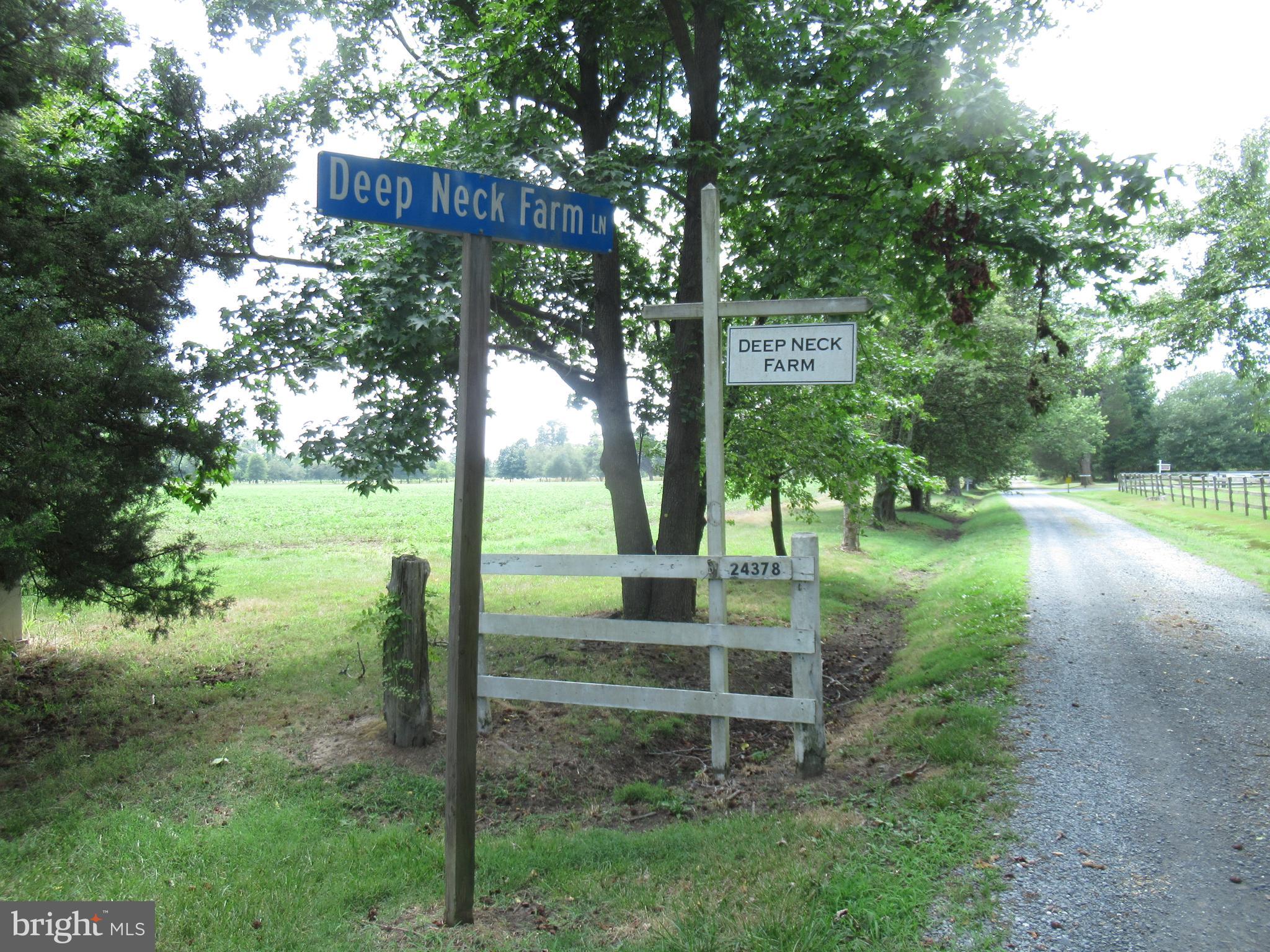 ROYAL OAK - Residential