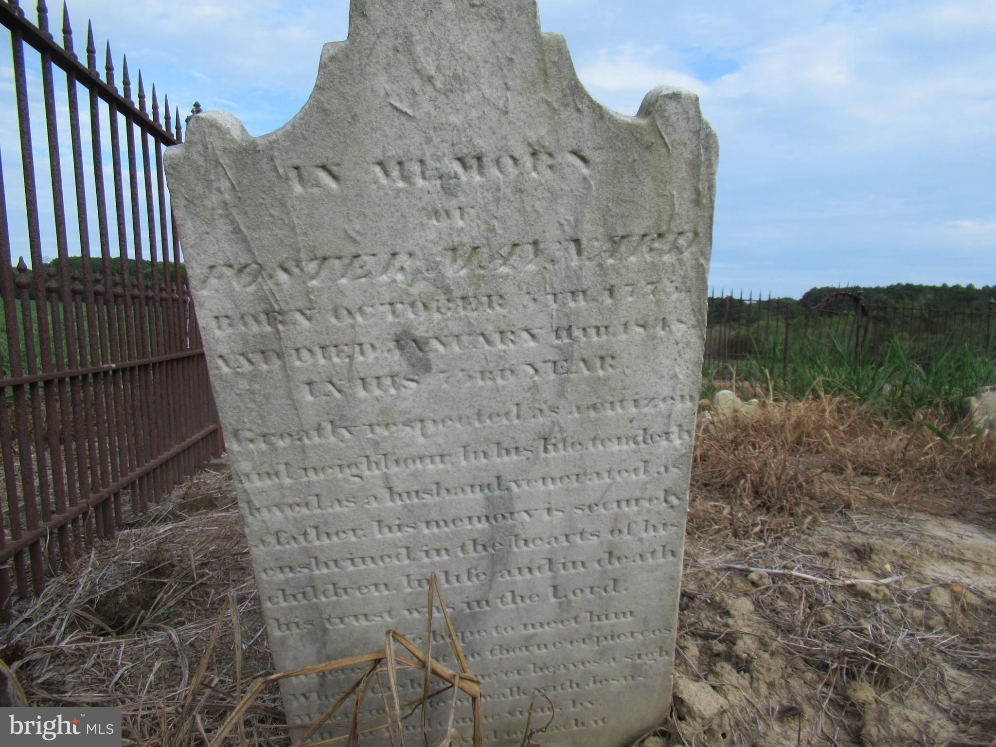 ROYAL OAK - Residential