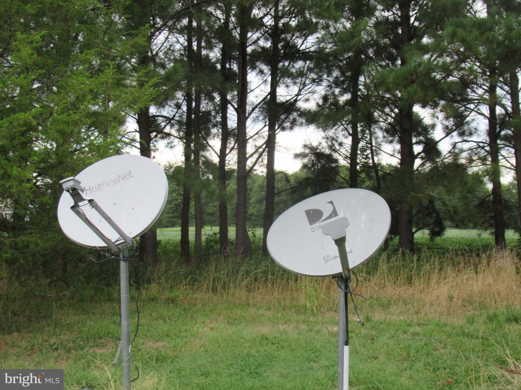 ROYAL OAK - Residential