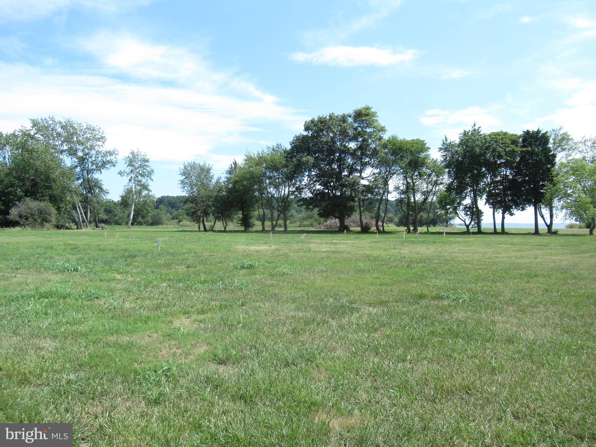 ROYAL OAK - Residential