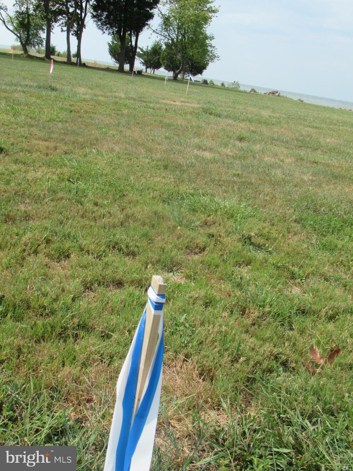 ROYAL OAK - Residential