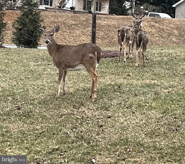 CARROLL VALLEY BOROUGH - Residential