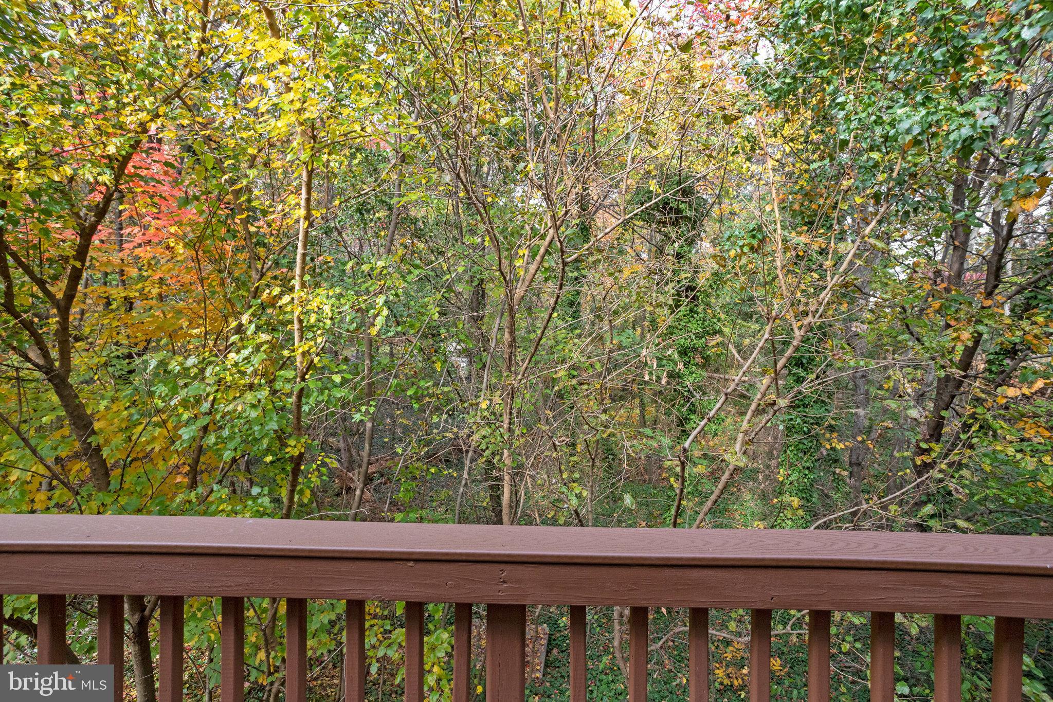 JAPONICA - Residential Lease