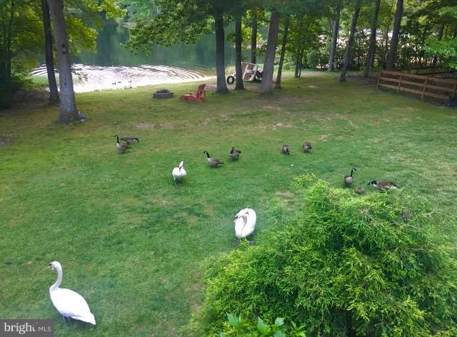 LAKE WILDERNESS - Residential