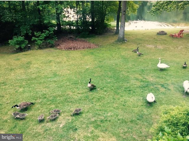 LAKE WILDERNESS - Residential