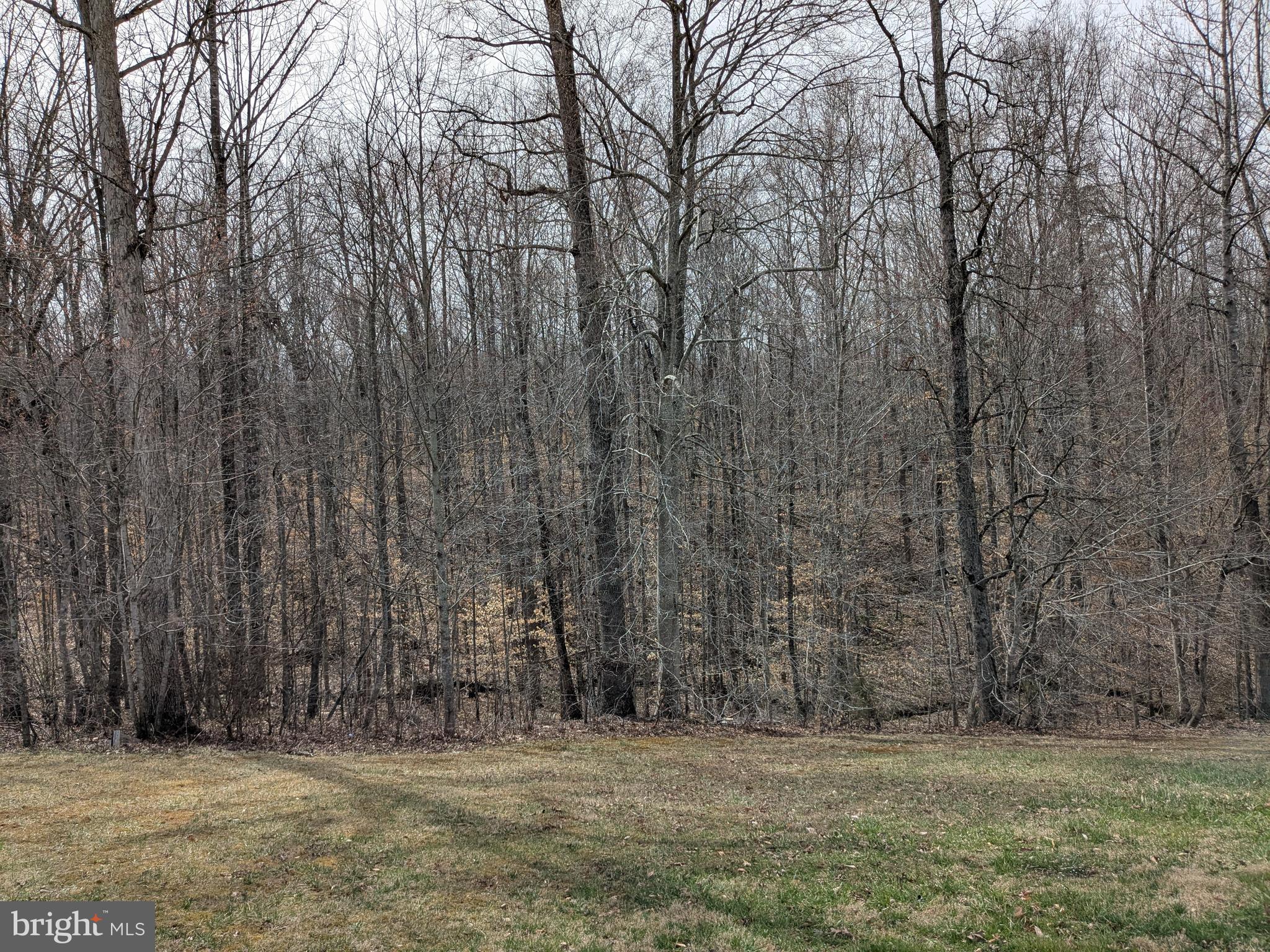 HOYLE-CANNON - Residential