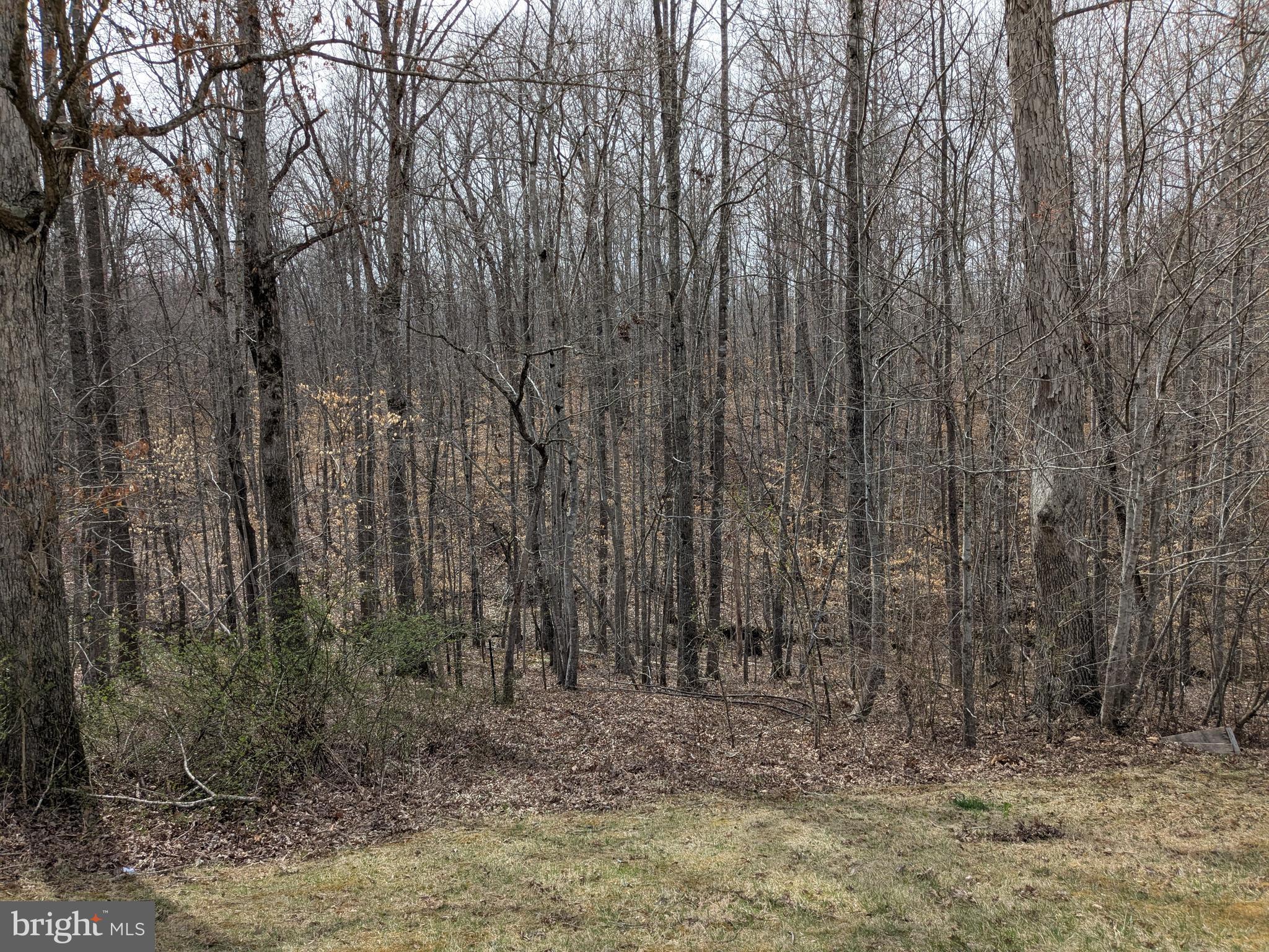 HOYLE-CANNON - Residential