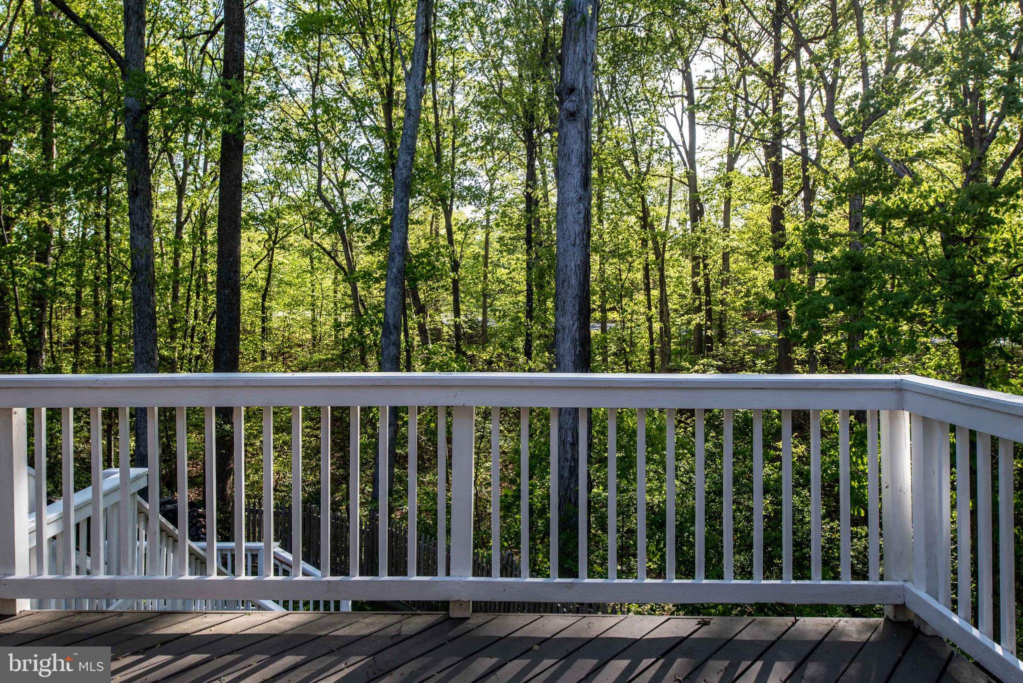 POPLAR FOREST - Residential