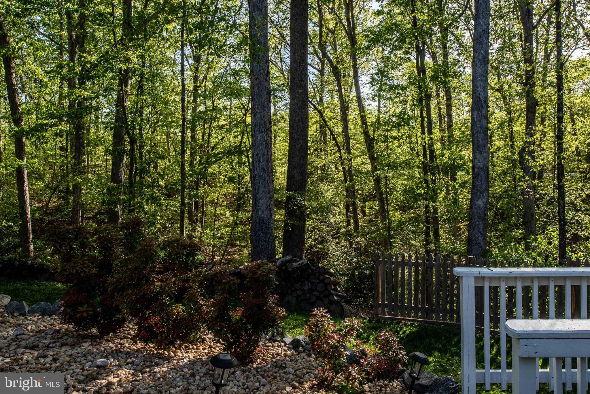 POPLAR FOREST - Residential