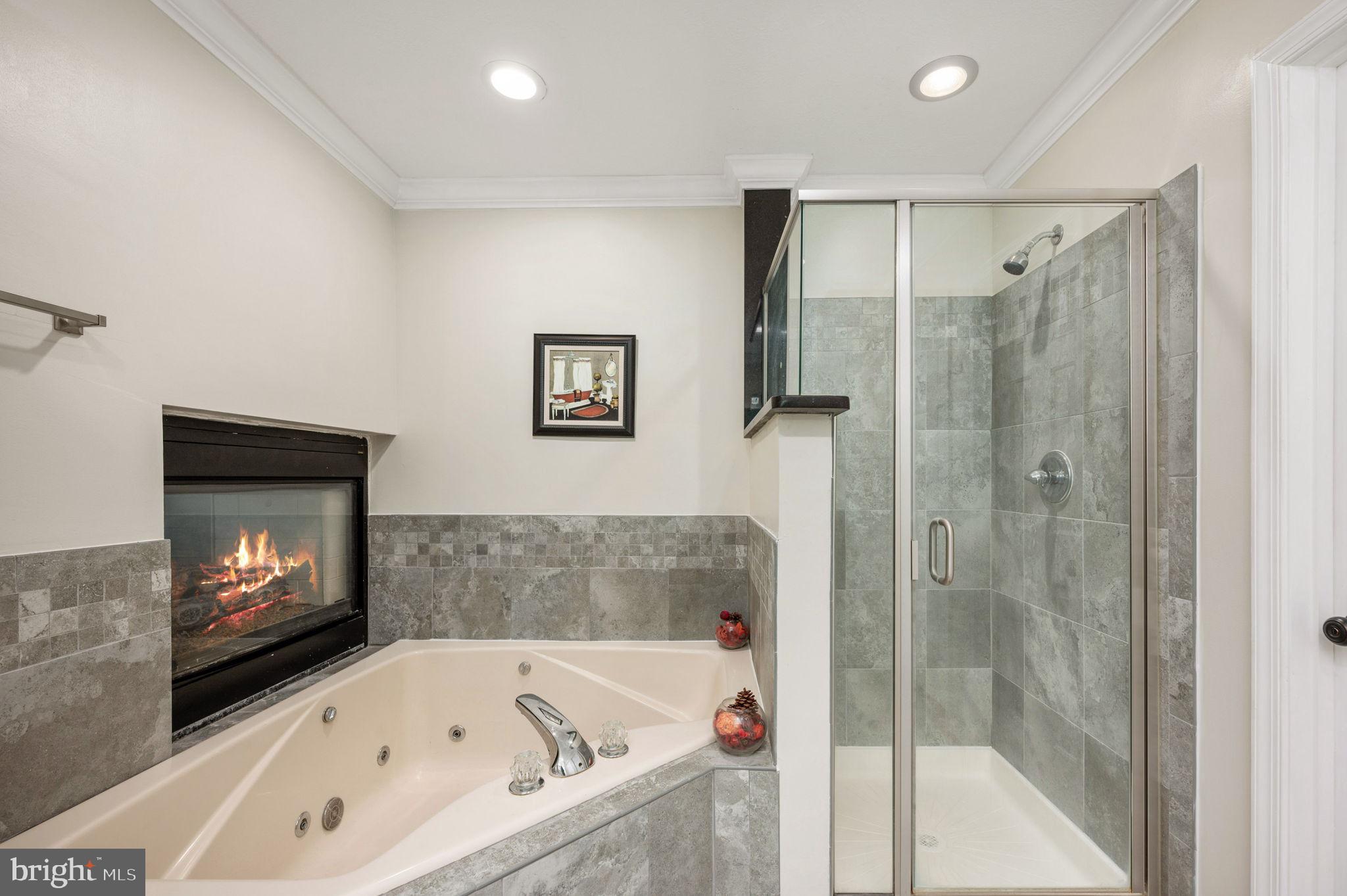 POPLAR FOREST - Residential