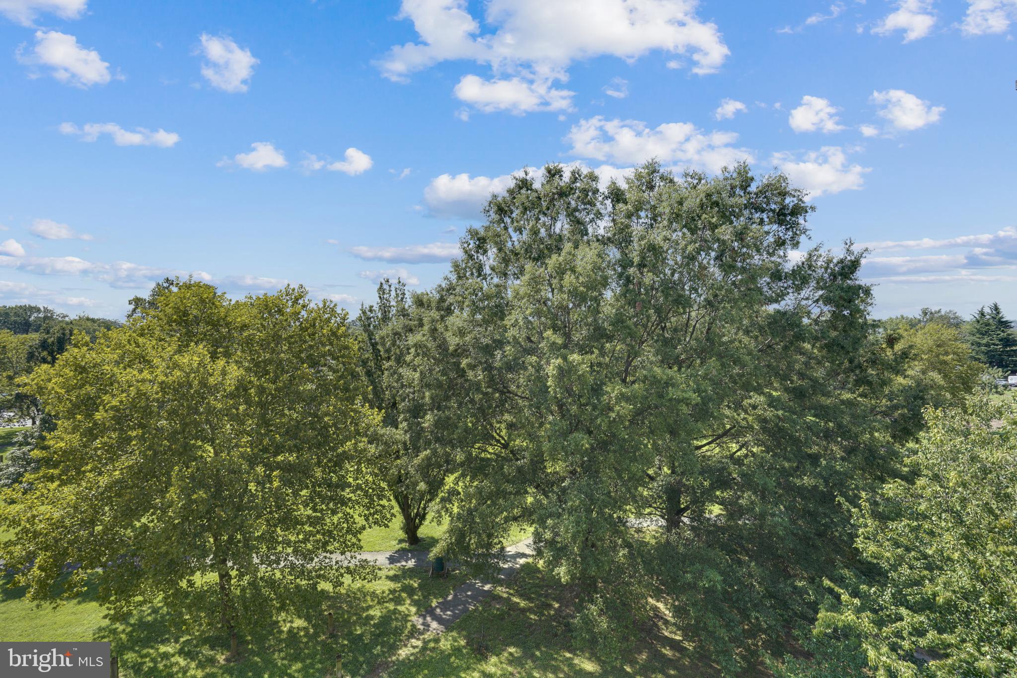 SAVOY PARK CONDOMINIUMS - Residential