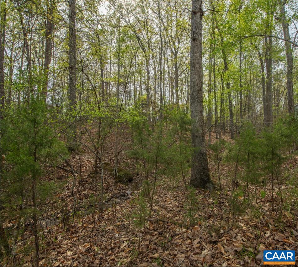 LAKE MONTICELLO - Land