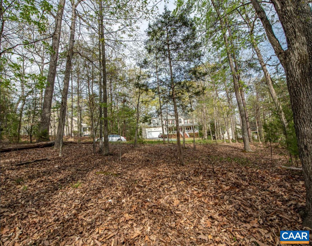 LAKE MONTICELLO - Land