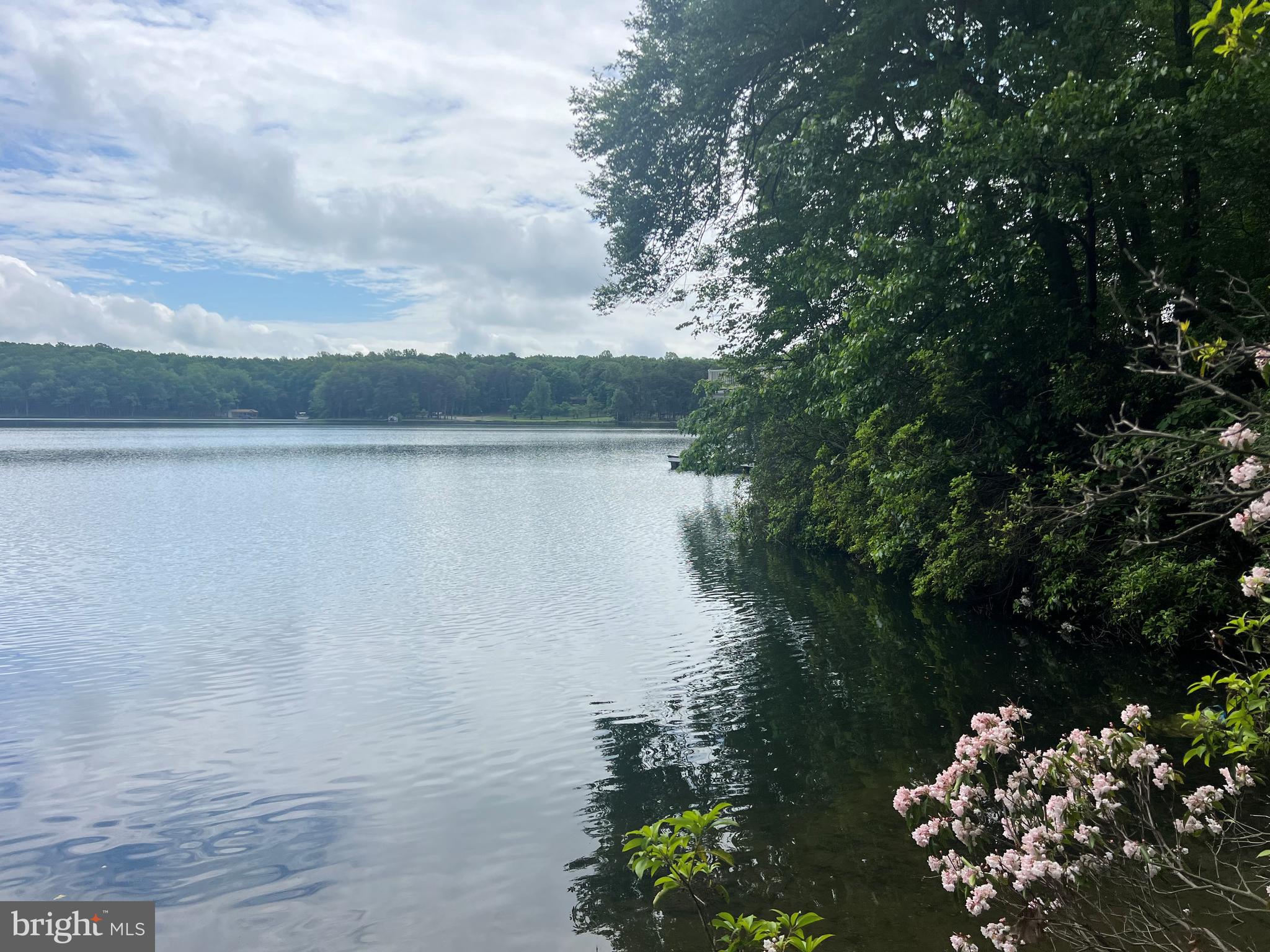 MYSTIC POINTE - Land